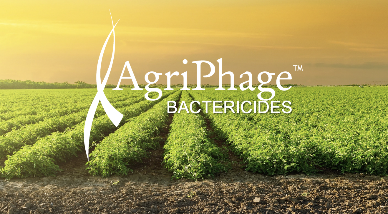 argiphage
